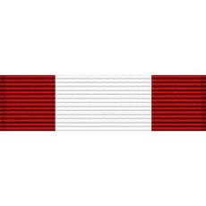 Georgia National Guard Defense Force Achievement Ribbon